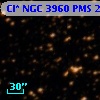 Cl* NGC 3960    PMS   25916