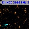 Cl* NGC 3960    PMS   25237