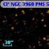 Cl* NGC 3960    PMS    5172