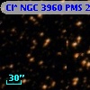 Cl* NGC 3960    PMS   25036