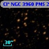 Cl* NGC 3960    PMS   25587