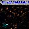 Cl* NGC 3960    PMS   25111