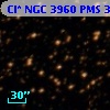 Cl* NGC 3960    PMS  300794