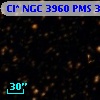 Cl* NGC 3960    PMS    3896