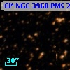 Cl* NGC 3960    PMS   25773