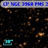 Cl* NGC 3960    PMS   24620