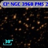 Cl* NGC 3960    PMS   21221