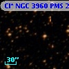 Cl* NGC 3960    PMS   20173