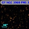 Cl* NGC 3960    PMS    3815