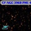 Cl* NGC 3960    PMS    4215
