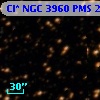 Cl* NGC 3960    PMS   20810