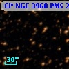 Cl* NGC 3960    PMS   25282