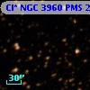 Cl* NGC 3960    PMS   20225