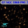 Cl* NGC 3960    PMS   25588