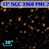 Cl* NGC 3960    PMS   25113
