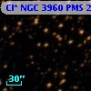 Cl* NGC 3960    PMS   21903