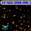 Cl* NGC 3960    PMS   25835