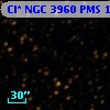 Cl* NGC 3960    PMS    1121