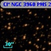Cl* NGC 3960    PMS   20184