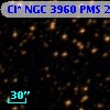 Cl* NGC 3960    PMS   25244