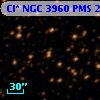 Cl* NGC 3960    PMS   21763