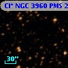 Cl* NGC 3960    PMS   25524