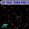 Cl* NGC 3960    PMS    5044