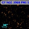 Cl* NGC 3960    PMS    5879