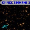 Cl* NGC 3960    PMS   25984