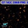 Cl* NGC 3960    PMS    1931