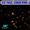 Cl* NGC 3960    PMS   21048