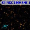 Cl* NGC 3960    PMS    1996