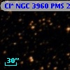 Cl* NGC 3960    PMS   25284