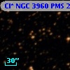Cl* NGC 3960    PMS   25917