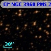 Cl* NGC 3960    PMS   21224