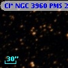 Cl* NGC 3960    PMS   20455
