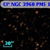 Cl* NGC 3960    PMS    1767
