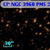 Cl* NGC 3960    PMS   25674