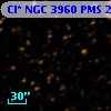 Cl* NGC 3960    PMS    2866