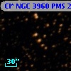 Cl* NGC 3960    PMS   23629