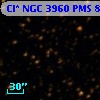 Cl* NGC 3960    PMS     881
