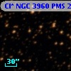 Cl* NGC 3960    PMS   20820