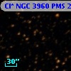 Cl* NGC 3960    PMS    2055