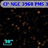 Cl* NGC 3960    PMS    3249