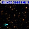 Cl* NGC 3960    PMS  300274