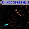 Cl* NGC 3960    PMS   25990