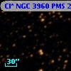 Cl* NGC 3960    PMS   25983