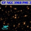 Cl* NGC 3960    PMS   25116