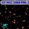 Cl* NGC 3960    PMS   25106