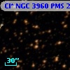 Cl* NGC 3960    PMS   25677